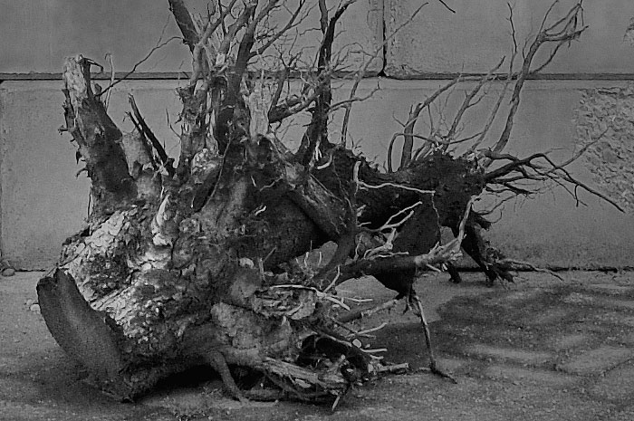 Finished Business Collection