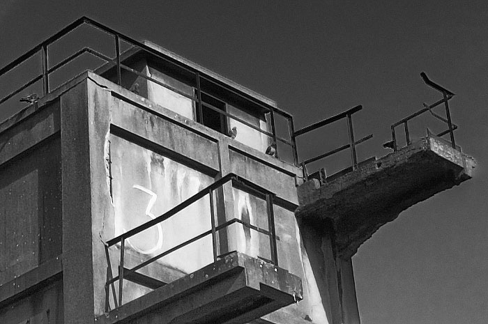 We Are Not Alone Collection